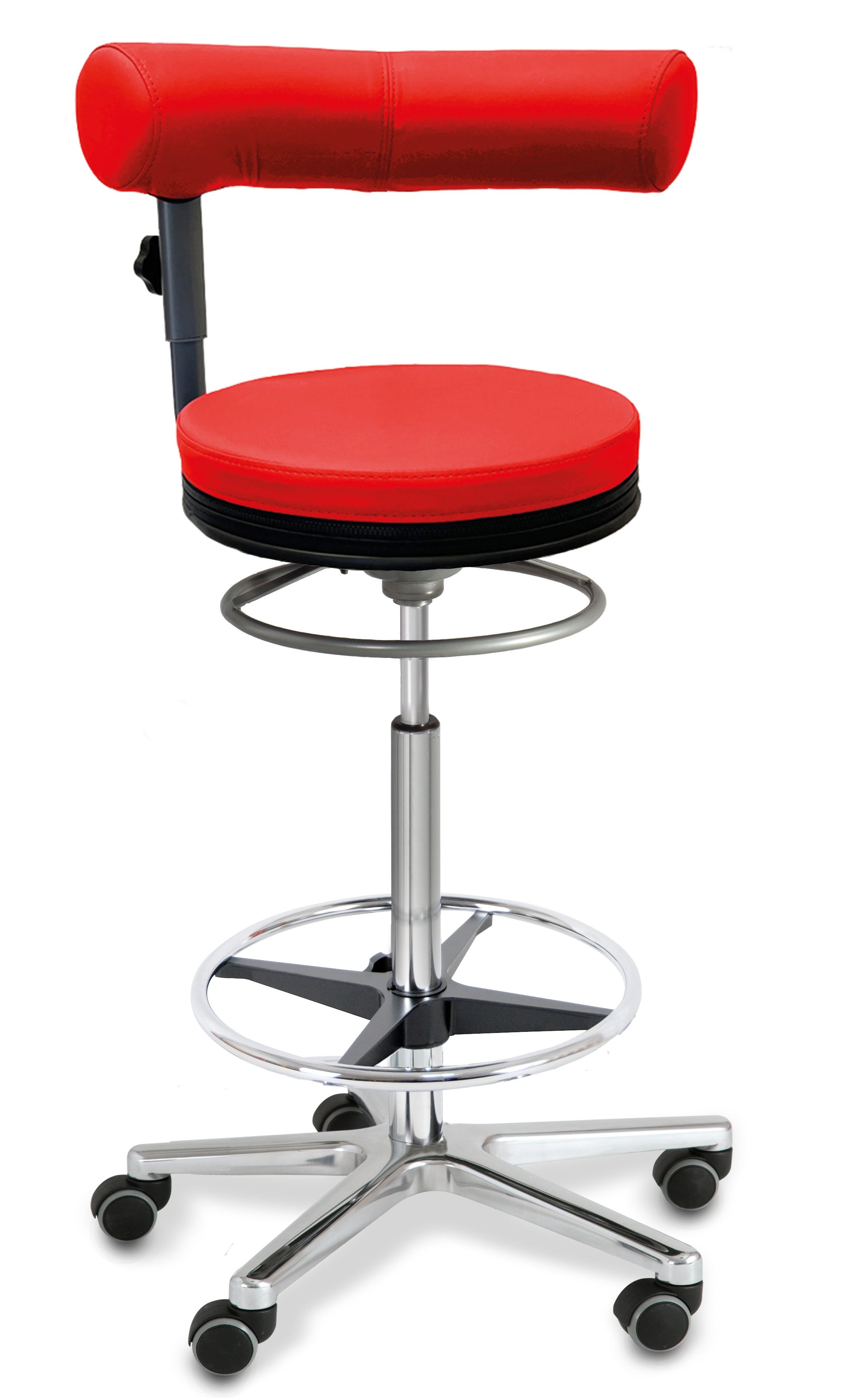 Sanus®-Health Chair High Chair BH